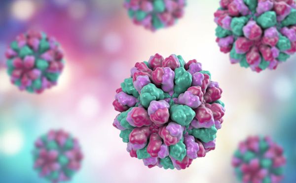 Onderzoekers monitoren Norovirus wereldwijd