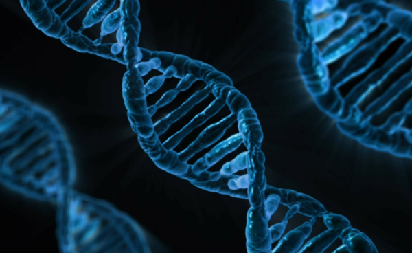 Doorbraak in diagnostiek Teveel DNA veroorzaakt stofwisselingsziekte