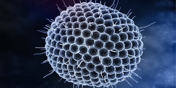 'Slapend' gordelroosvirus ontrafeld