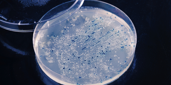Winnen we de oorlog tegen resistente bacteriën?