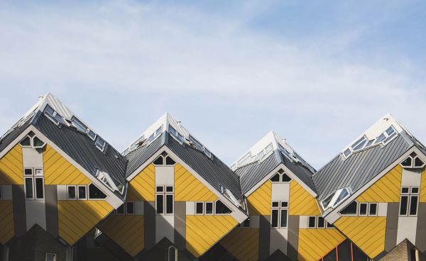 Rotterdam verandert en cultuur beweegt mee