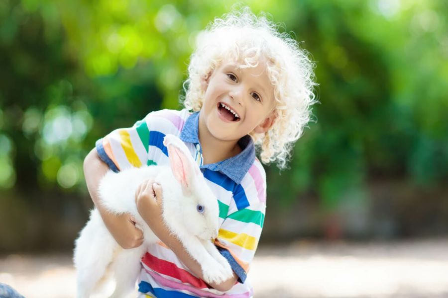 Kinderboerderijen sparen voor speeltoestellen