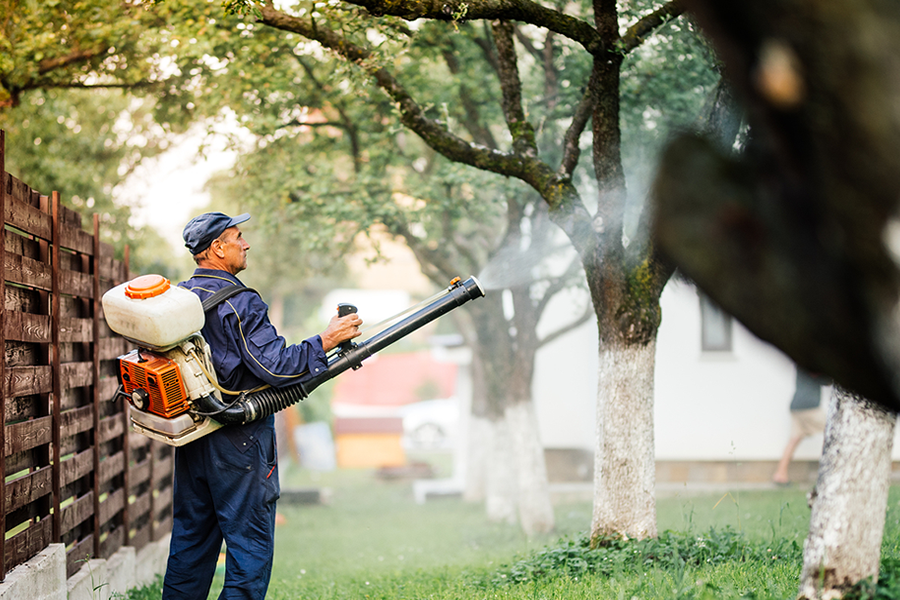 foodwatch wil af van ‘verboden’ pesticiden op importfruit