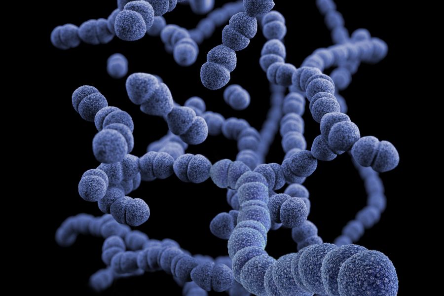Onderzoekers: ‘Help ons om resistente bacterie te stoppen’