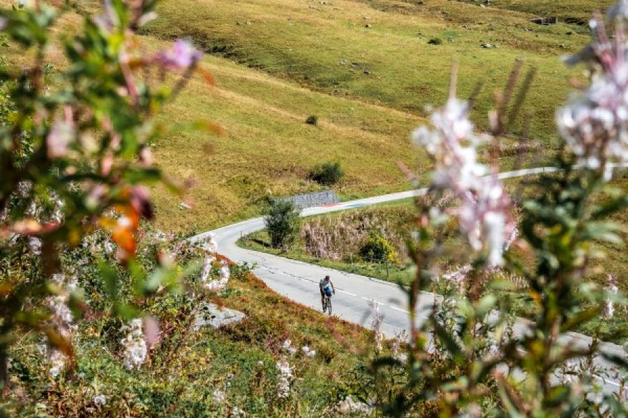 Nieuw fiets- en wandelevenement voor baanbrekend kankeronderzoek
