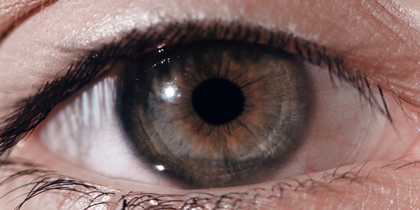 Patients regain sight after being first to receive retinal tissue engineered from stem cells