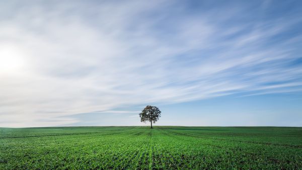 klimaat