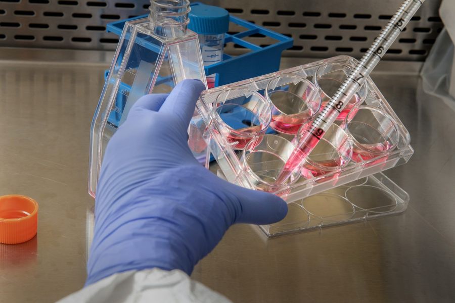 medicijnen testen