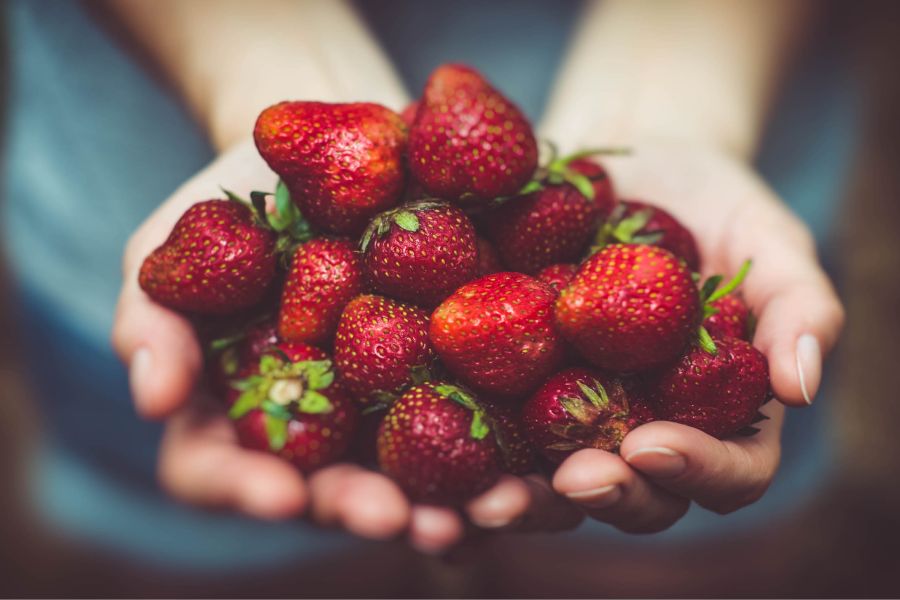 Wageningen Food Safety Research van start