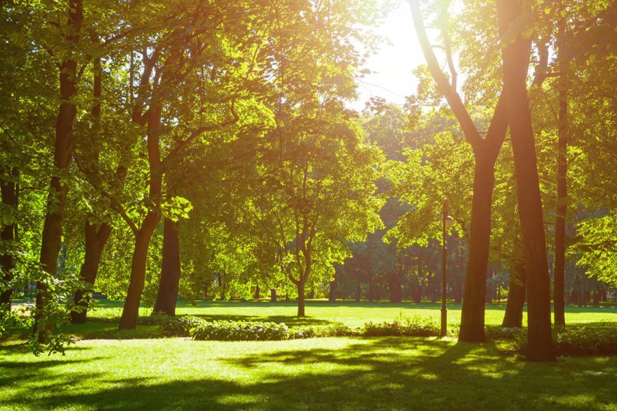 Stadsstrand en park naast wonen in de Rijnhaven