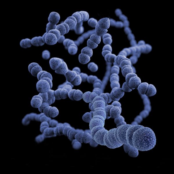 Onderzoekers: ‘Help ons om resistente bacterie te stoppen’