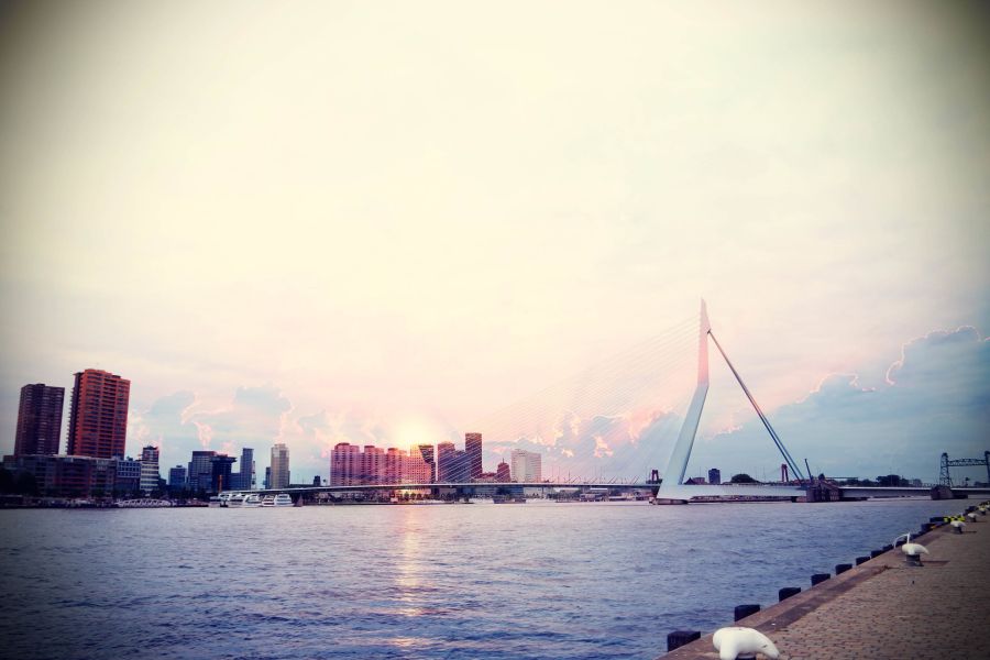 rotterdam skyline