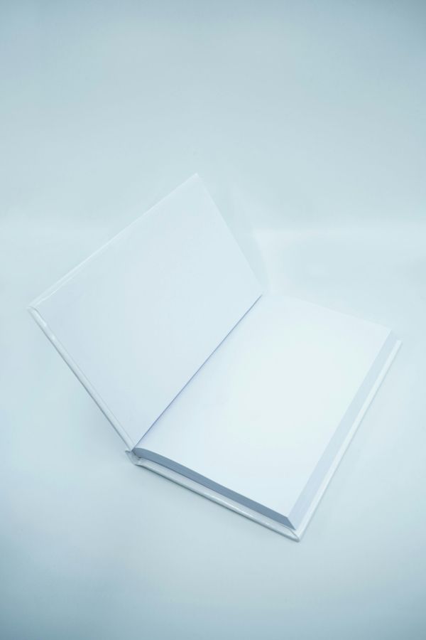Brabants Boek Present Wat niet vergaat beschikbaar als gesproken boek, in braille en als elektronisch boek