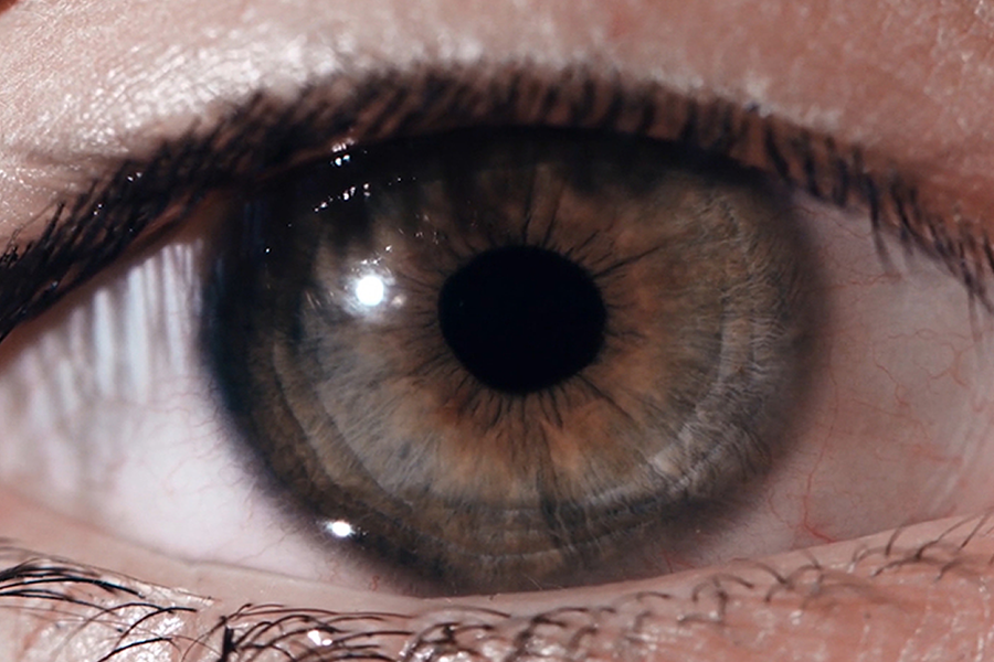 Patients regain sight after being first to receive retinal tissue engineered from stem cells