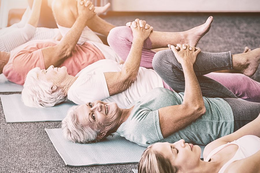 FitFestivals 55+