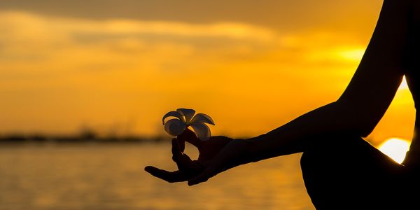 Blogs & Nieuws - Ftifestivals