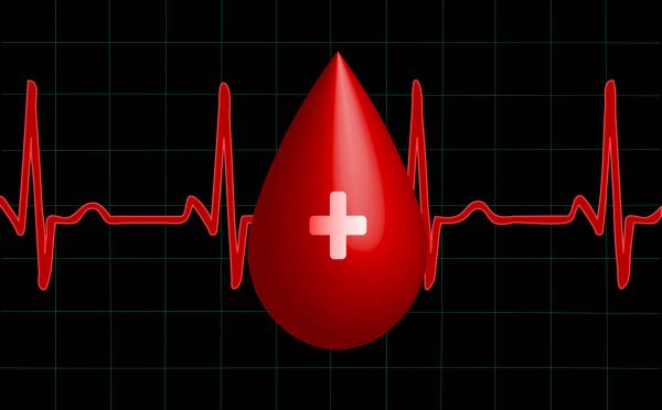 Alle EHBO kennis altijd direct bij de hand!