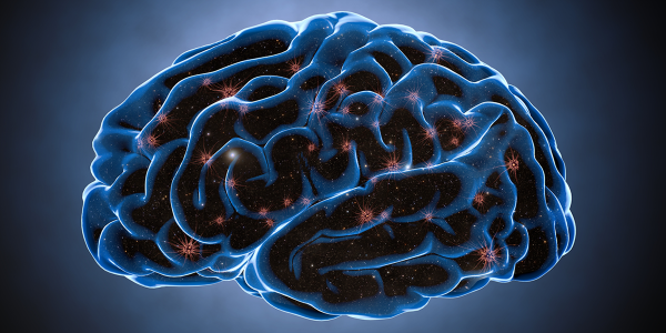 Low doses of alcohol may help clean the brain