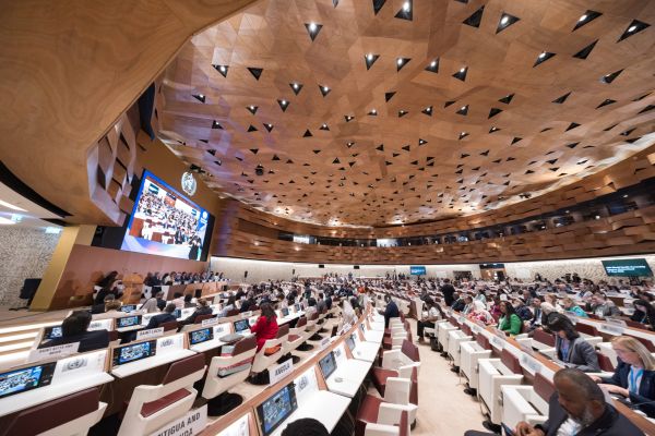 Seventy-eighth World Health Assembly
