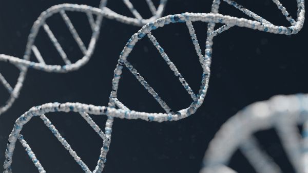 Nieuwe test leest DNA completer bij zeldzame genetische aandoening