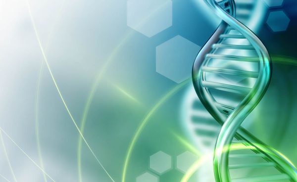 Behandeling Stargardt in de maak