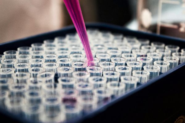 UMCG-onderzoeken tonen aan: eeuwenoud medicijn gunstig voor patiënten met hartfalen