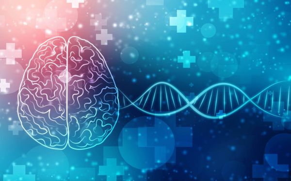 China’s CRISPR twins might have had their brains inadvertently enhanced