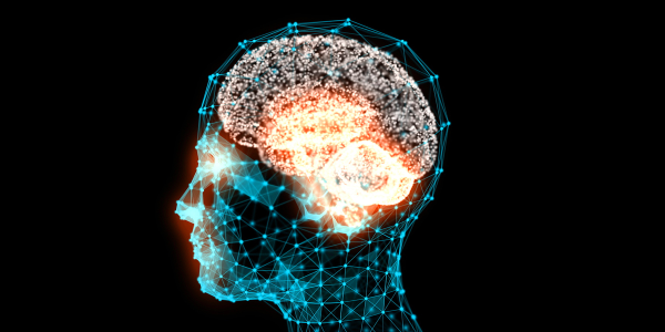 Luchtvervuiling gekoppeld aan hersenverschillen en cognitief functioneren bij kinderen