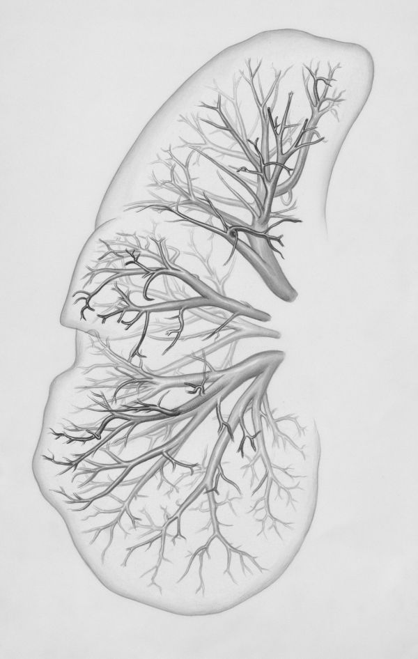 Wat deze onderzoeker heeft bedacht om kankerpatiënten sneller te helpen