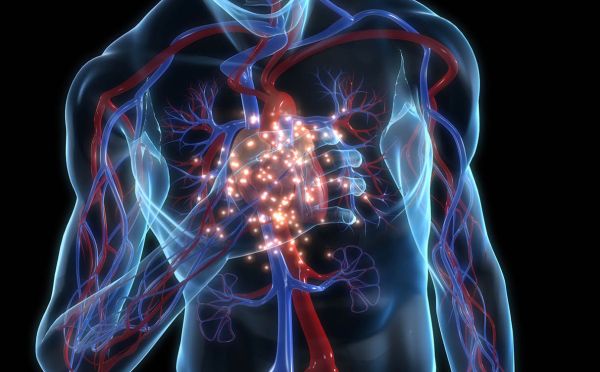 Rotterdam koploper voorzieningen hartstilstand