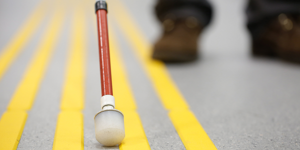 WERKLOOSHEID ONDER DOVEN EN BLINDEN EXTREEM EN ONNODIG HOOG