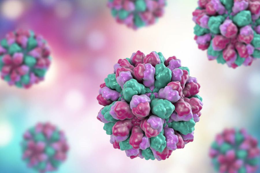 Onderzoekers monitoren Norovirus wereldwijd