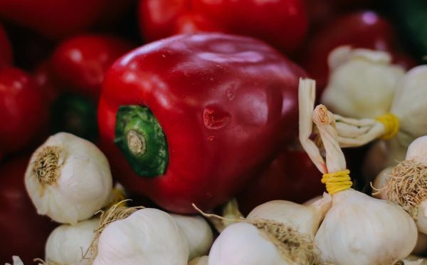 Capaciteitsgebrek houdt omstreden pesticiden in gebruik