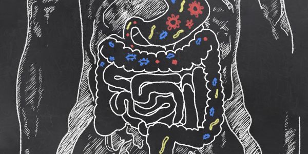 Zorg goed voor je darmen! Congres Arts & Voeding