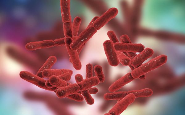 Illegale gentechvitamines in veevoer