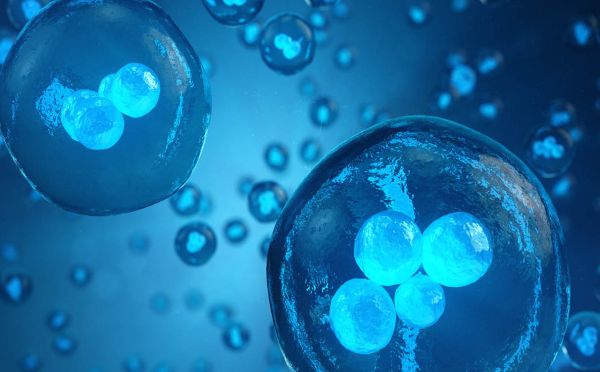 Nieuw inzicht in werking genen