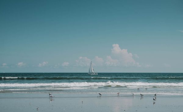 Japanner zeilt als eerste blinde persoon de Stille Oceaan over